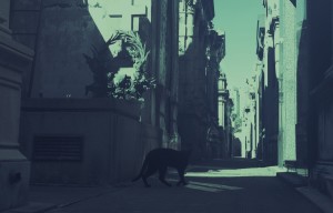 Photo treated image of cat in a street for Radical Sabbatical ST8MNT Brand Agency blog post