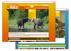 Advertising sales website design for Nat Geo Wild channel