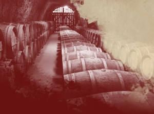 Branded background imagery of wine barrels for BNA Wine Group, Napa, California