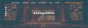 Header graphic for Experience Page with treated image for Watershed Music Festival website in George, Washington