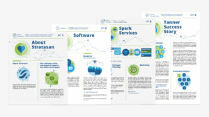 Stratasan sales inserts informing about their healthcare technology