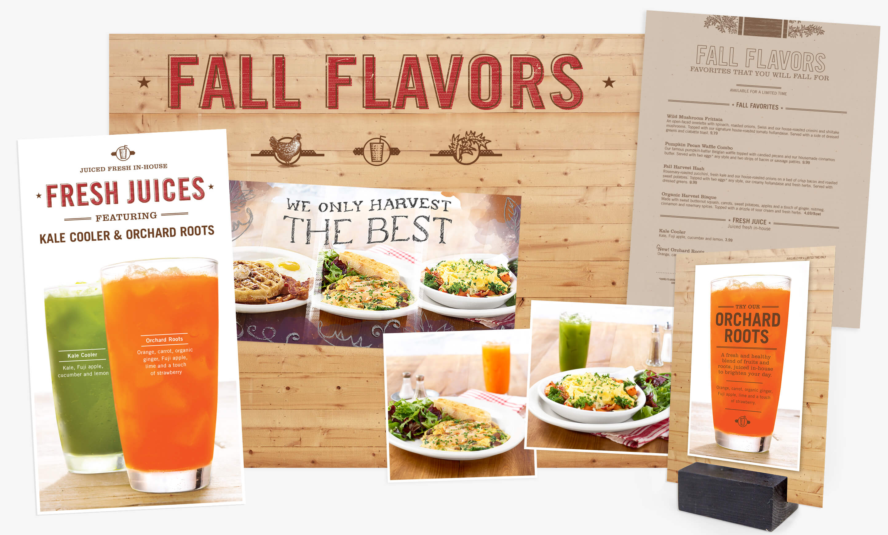 Egg and I Fall Designs Fall Seasonal Branding designs for the Egg and I restaurants for ST8MNT Brand Agency Case study