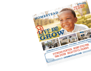 Print ads for Homestead living community in Texas