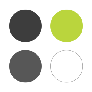SpinIntel branding color palette
