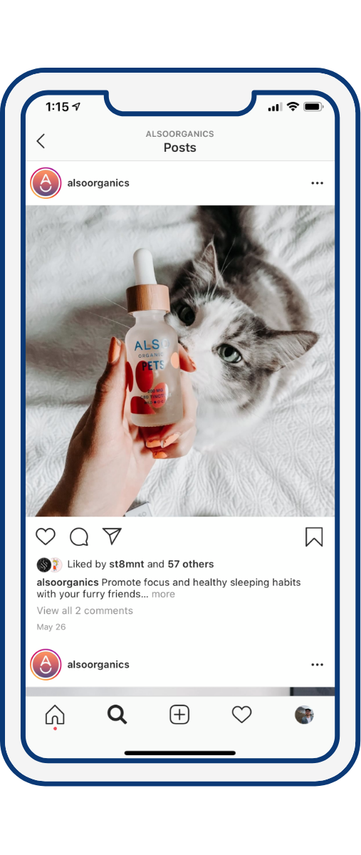 @alsoorganics Instagram post featuring Pets Tincture and grey and white cat on mobile phone