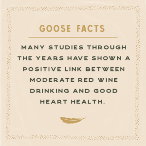 Saint Goose instagram social - goose facts