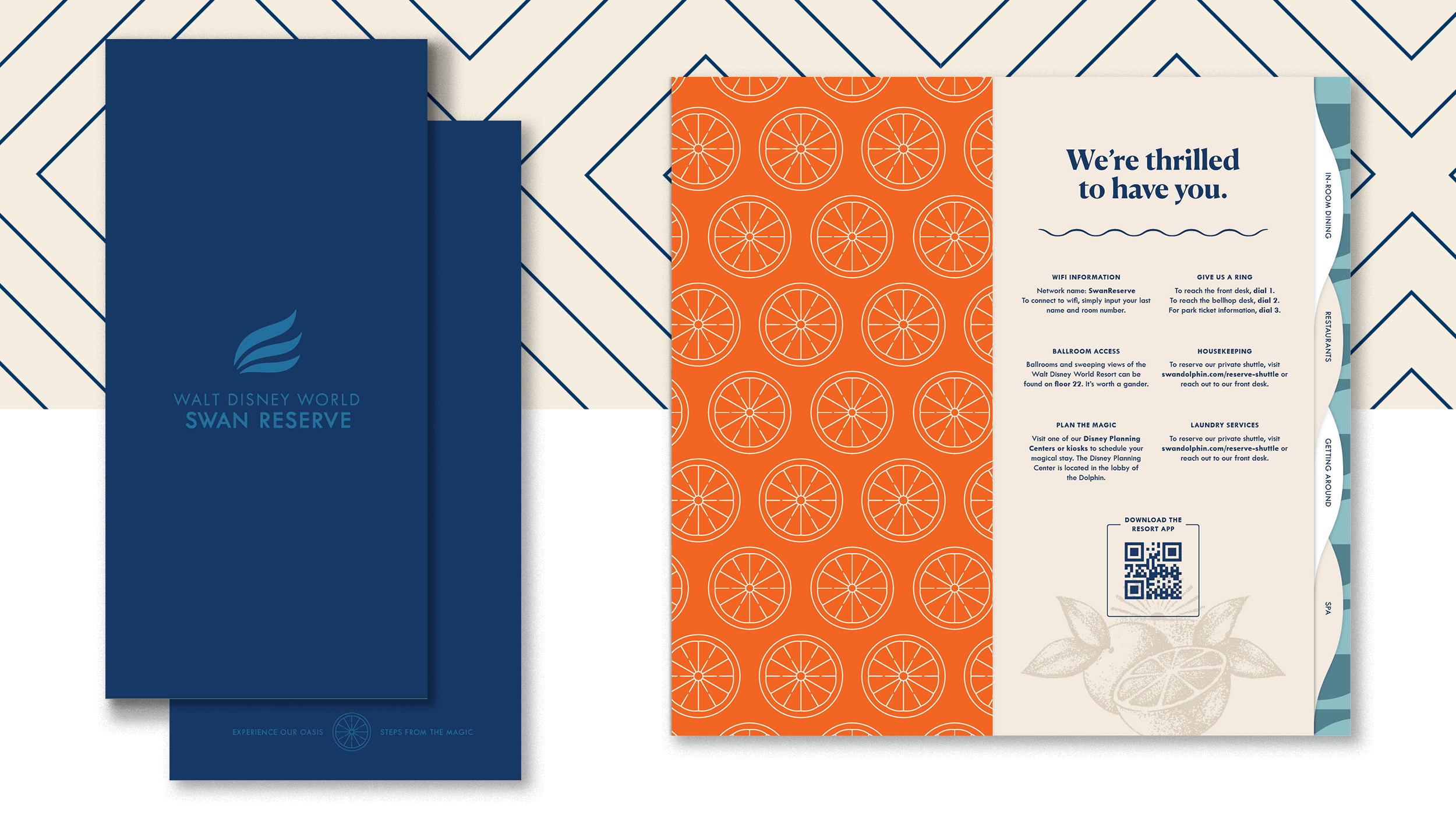DSR Compendium front and back cover, next to a spread