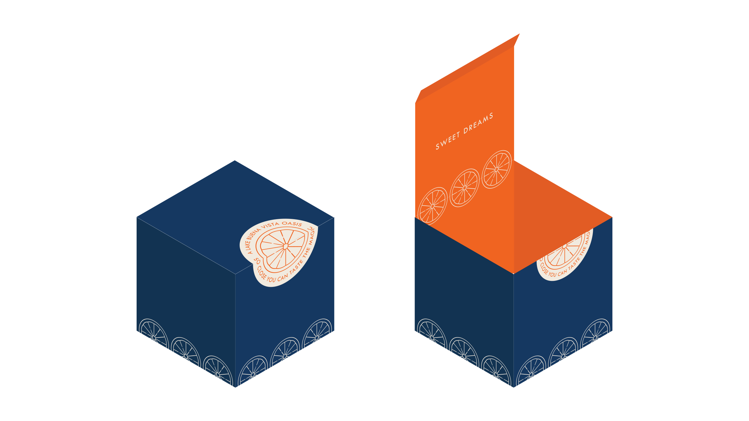 Illustration of macaroon box design showing it closed and open