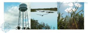 photo grid of Pahokee water tower, great blue heron and and sugarcane stalks with a compass graphic and "Pahokee, Florida" text