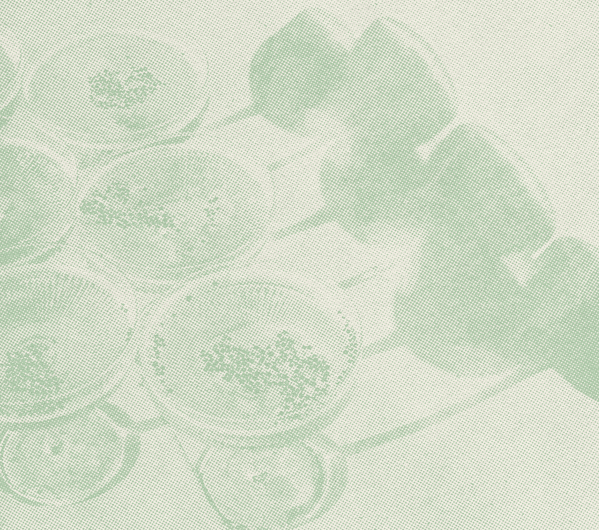 Halftone image of cocktails and their shadows in mint and cream