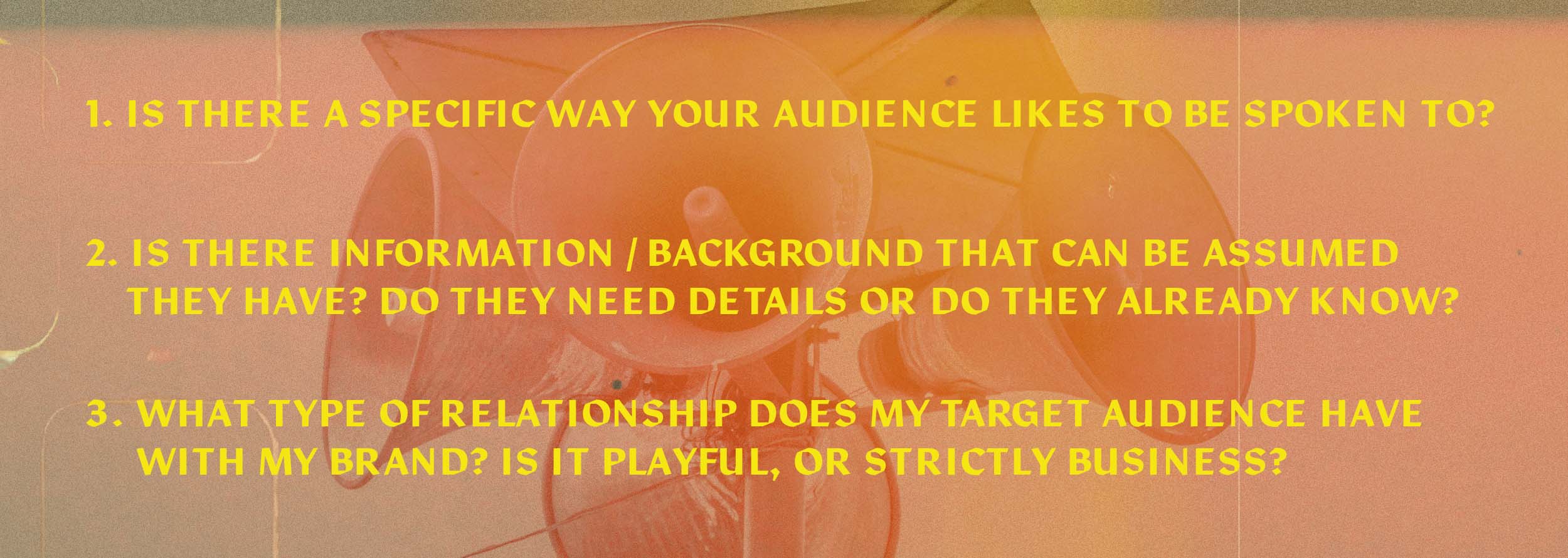 1. Is there a specific way your audience likes to be spoken to? 2. Is there information/background that can assumed they have? Do they need details or do they already know? 3. What type of relationship does my target audience have with my brand? Is it playful, or strictly business?