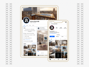alcove social feed facebook and instagram