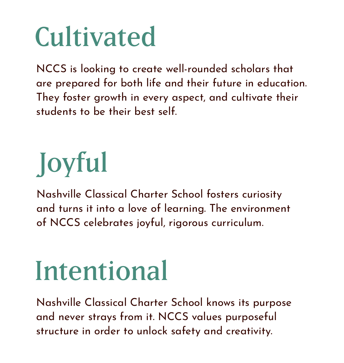 NCCS brand attributes determined in ST8MNT's brand refresh. The two listed here read: 