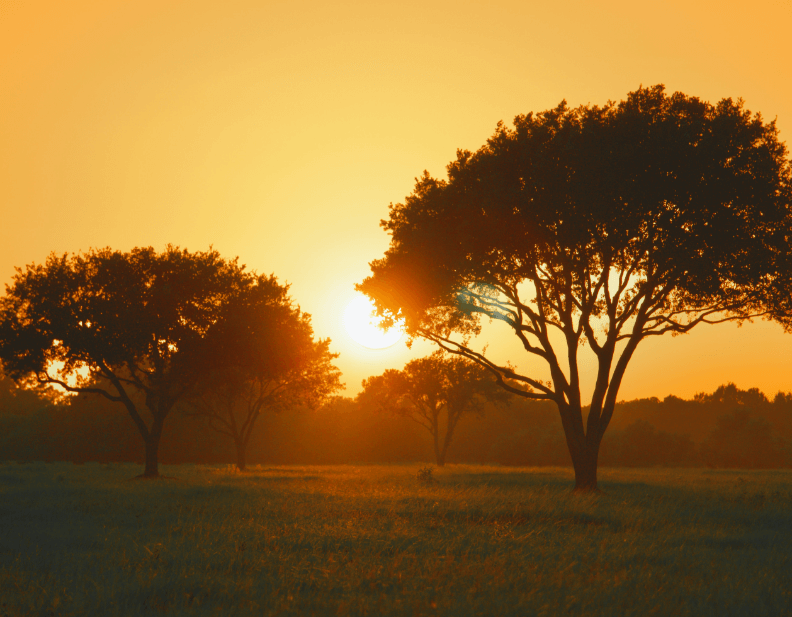 Image showing a Texas sunrise with a warm golden glow