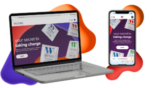 shopify site example